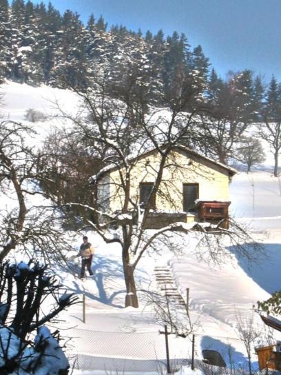 Hotel-Gasthaus Steiger Gräfenthal Exteriér fotografie